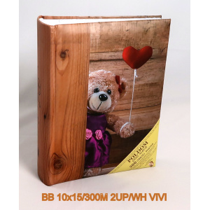 bb_10x15-300m_2up-wh_vivi