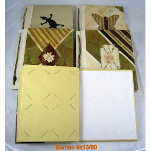 borneo_9x13-80