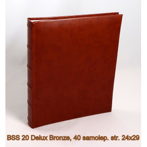 bss_20_delux_bronze