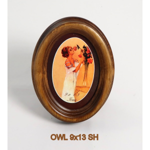 owl_9x13_sh