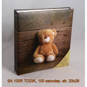 sa_100r_todik