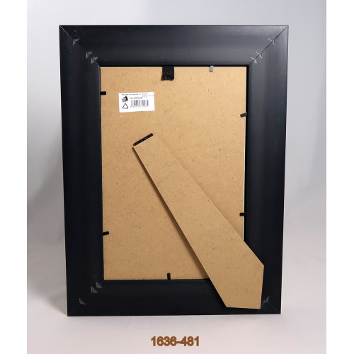 1636-481_----_363895816