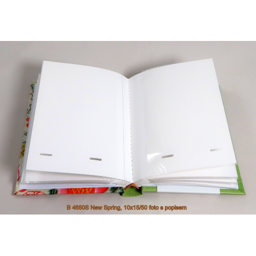 b_4650s_new_spring_-