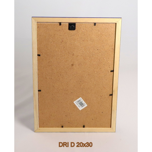 dri_d_20x30_-