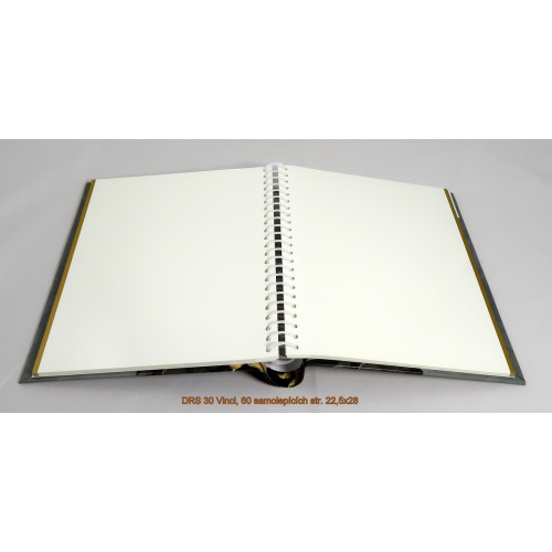 drs_30_vinci_-_816396739