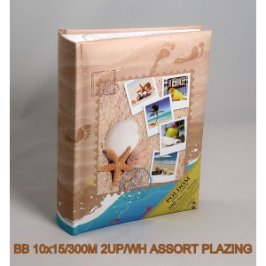 bb_10x15-300m_2up-wh_assort_plazing