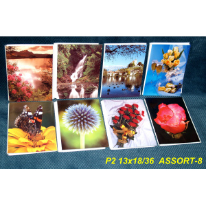 p2_5736_assort_8