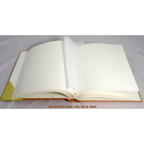 bd_100pg-cr_koma-sk3_-