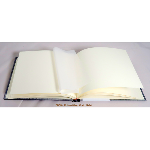 dbcsh_20_love_silver_-