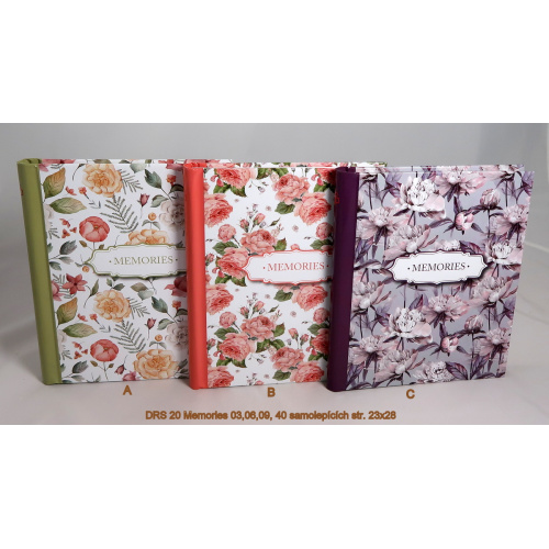 drs_20_memories_030609