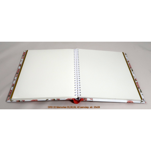 drs_20_memories_030609_-