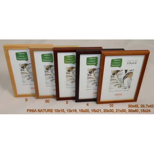 pinia_nature_631901153